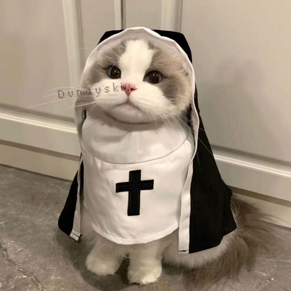 ชุดคอสเพลย์สัตว์เลี้ยงสำหรับสุ - Anime Cosplay Nun บทวิจารณ์และราคา