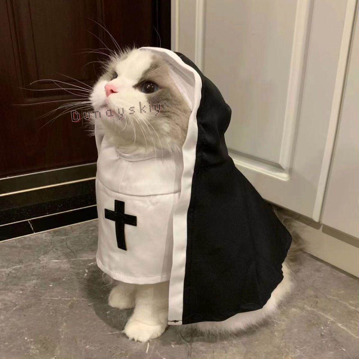 ชุดคอสเพลย์สัตว์เลี้ยงสำหรับสุ - Anime Cosplay Nun บทวิจารณ์และราคา