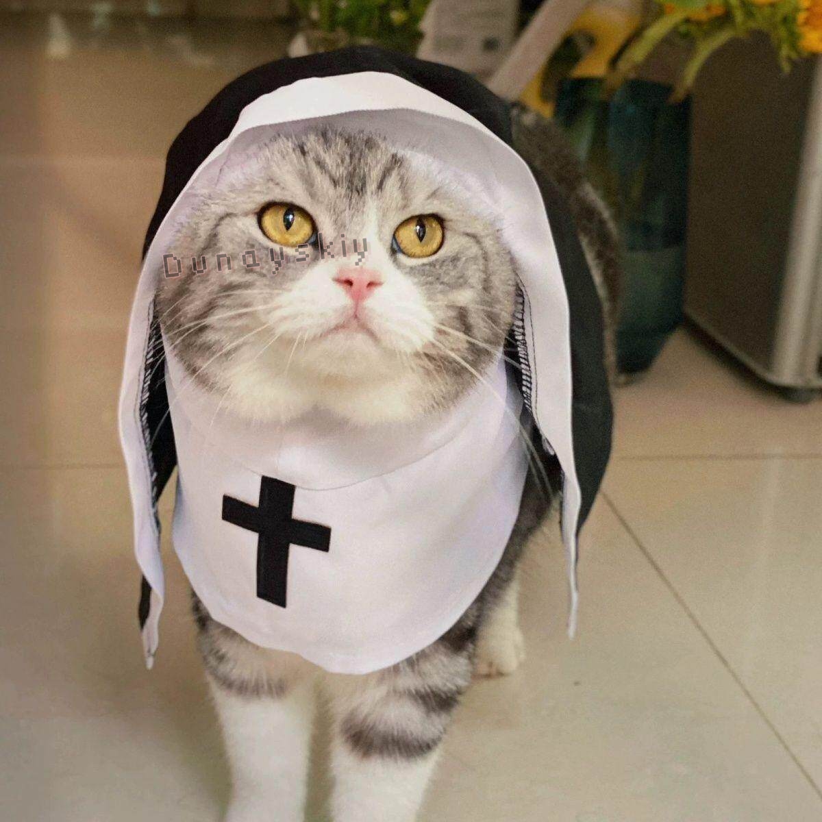ชุดคอสเพลย์สัตว์เลี้ยงสำหรับสุ - Anime Cosplay Nun บทวิจารณ์และราคา