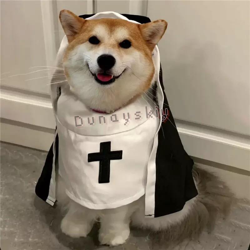 ชุดคอสเพลย์สัตว์เลี้ยงสำหรับสุ - Anime Cosplay Nun บทวิจารณ์และราคา